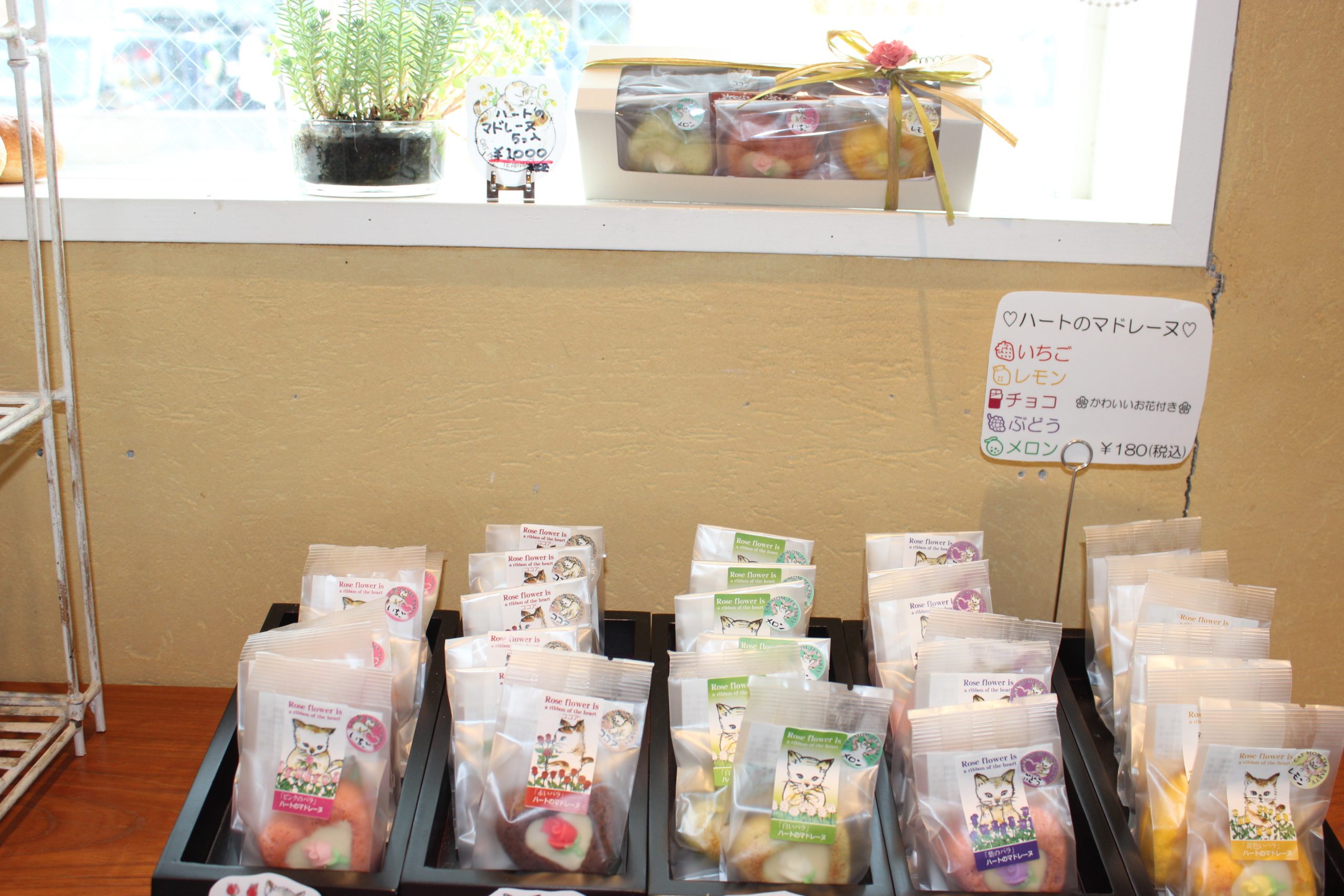 PE店内写真7月1