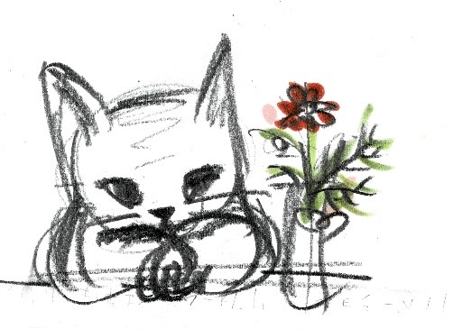 その16お花と猫